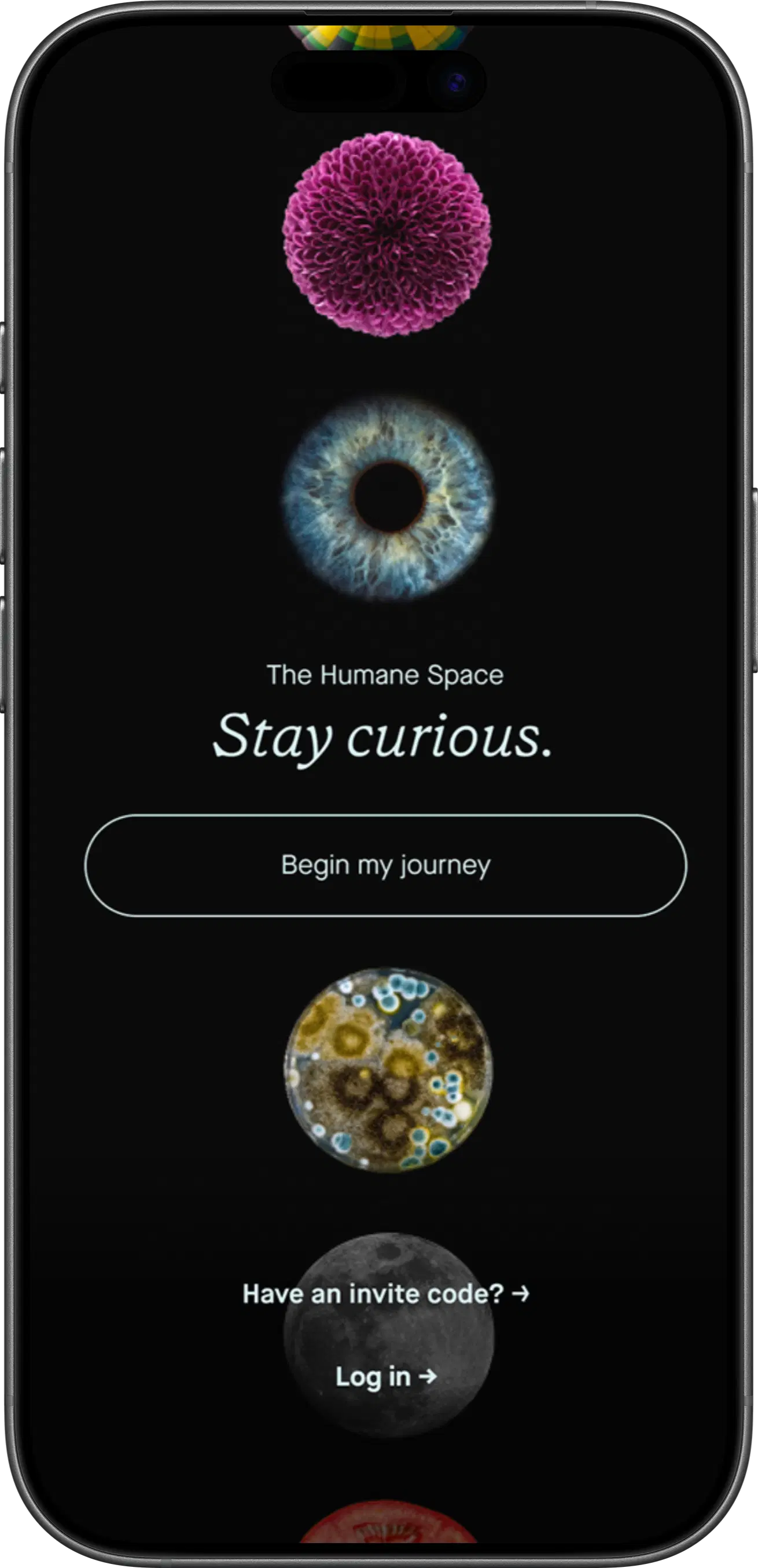 The Humane Space app - step 1